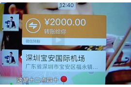 戚墅堰为什么选择专业追讨公司来处理您的债务纠纷？